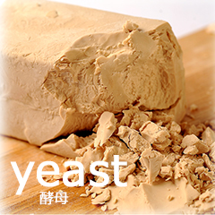 白神こだま酵母